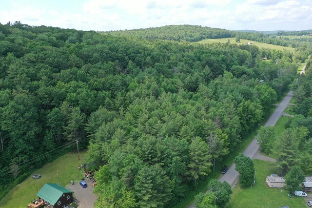 Kilkenny Rd, Unadilla, NY 13849 - photo 5