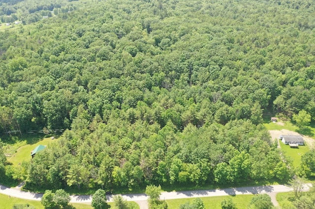 Kilkenny Rd, Unadilla, NY 13849 - photo 12