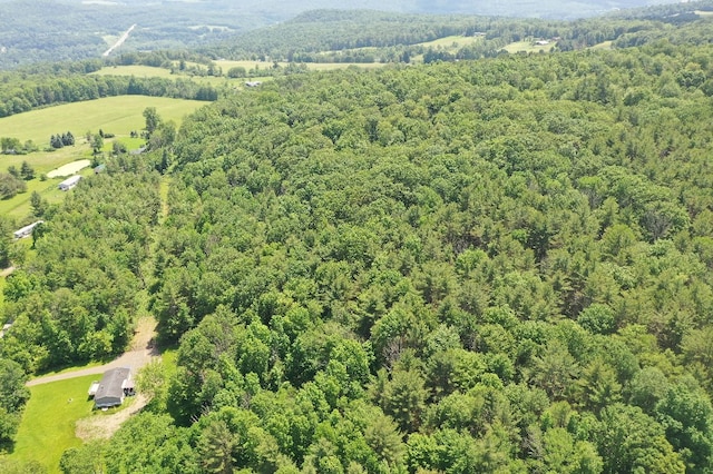 Kilkenny Rd, Unadilla, NY 13849 - photo 13