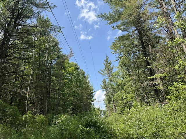 Kilkenny Rd, Unadilla, NY 13849 - photo 15