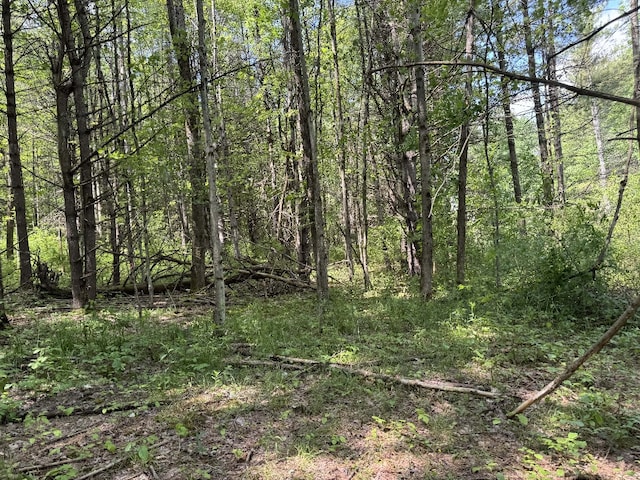 Kilkenny Rd, Unadilla, NY 13849 - photo 22
