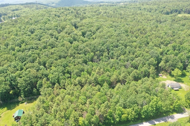 Kilkenny Rd, Unadilla, NY 13849 - photo 23