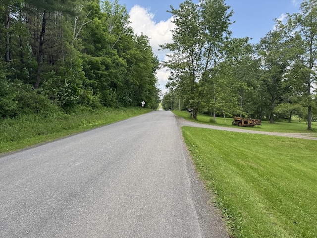 Kilkenny Rd, Unadilla, NY 13849 - photo 6