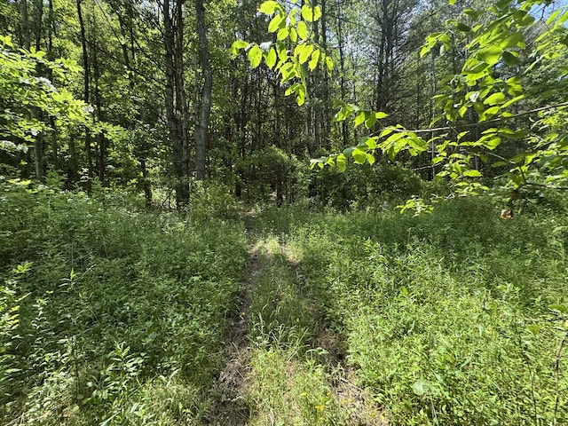Kilkenny Rd, Unadilla, NY 13849 - photo 8