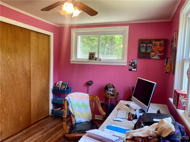 1161 Smithridge Rd, Sullivan, NY 13030 - photo 24
