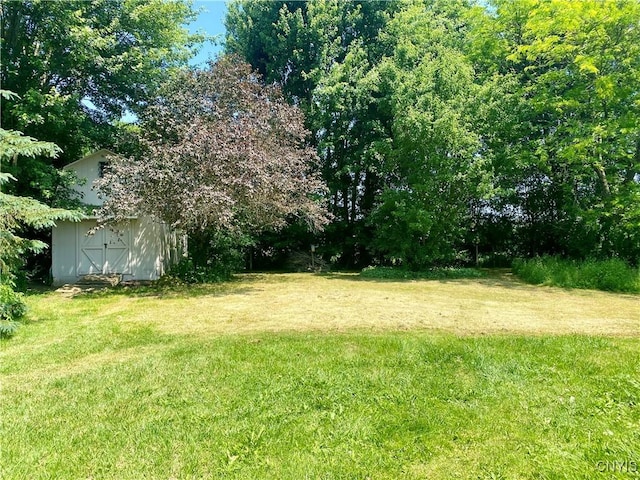 1161 Smithridge Rd, Sullivan, NY 13030 - photo 41