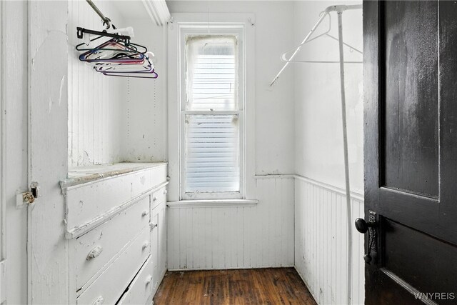 49 Urban St, Buffalo, NY 14211 - spacious closet with dark wood-style flooring