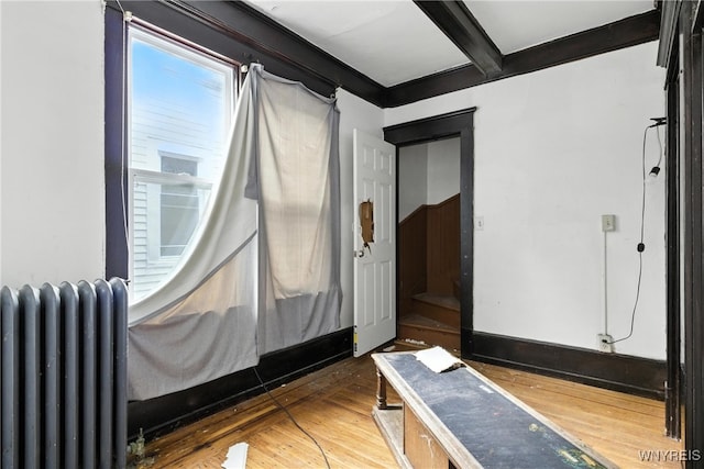 49 Urban St, Buffalo, NY 14211 - workout room featuring radiator and wood finished floors