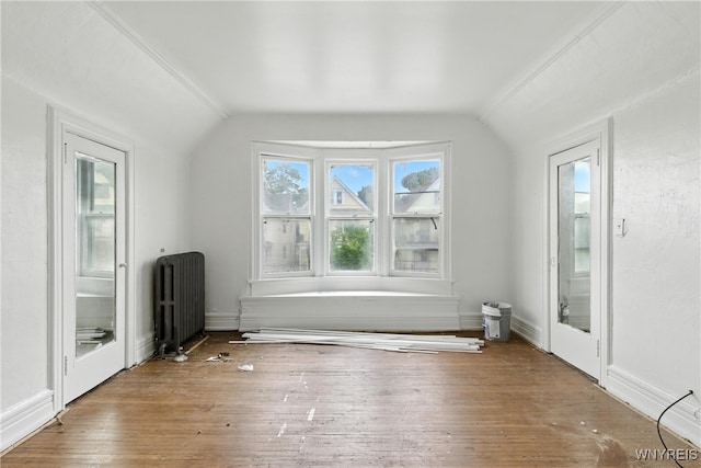 49 Urban St, Buffalo, NY 14211 - additional living space with radiator heating unit, vaulted ceiling, and wood-type flooring