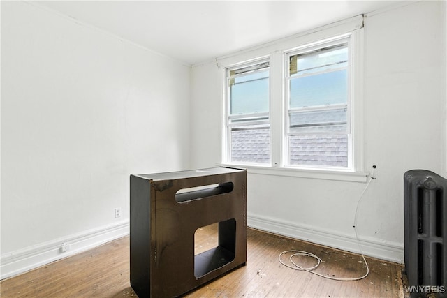 49 Urban St, Buffalo, NY 14211 - detailed view of radiator and wood finished floors