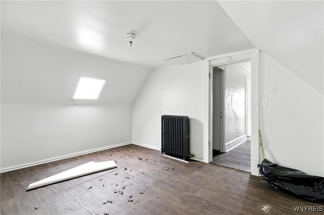 49 Urban St, Buffalo, NY 14211 - additional living space featuring radiator, lofted ceiling, wood finished floors, and a skylight