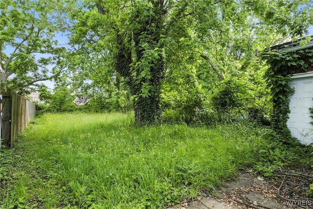 49 Urban St, Buffalo, NY 14211 - view of yard