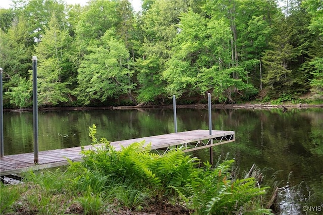 105 Garmon Ave, Webb, NY 13420 - dock area featuring a water view