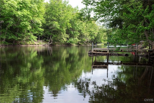 105 Garmon Ave, Webb, NY 13420 - water view featuring a forest