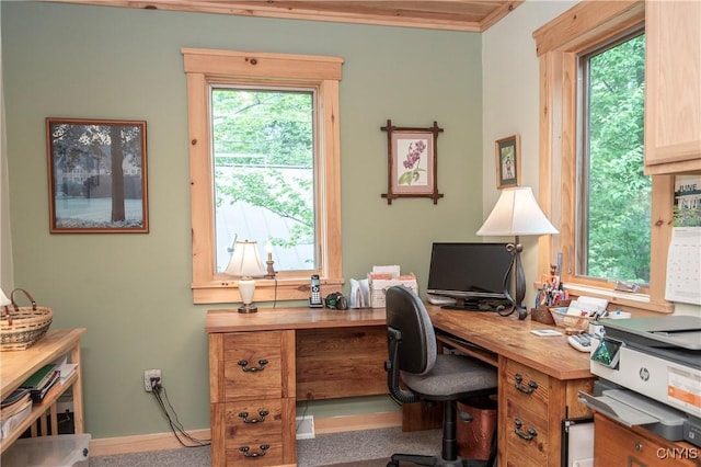 105 Garmon Ave, Webb, NY 13420 - home office featuring plenty of natural light and ornamental molding