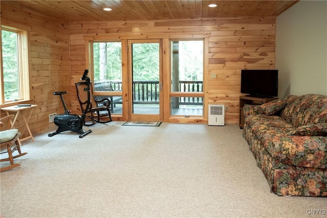 105 Garmon Ave, Webb, NY 13420 - exercise area featuring wooden ceiling, wooden walls, recessed lighting, plenty of natural light, and carpet floors
