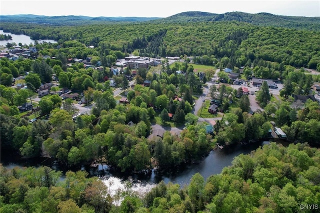 105 Garmon Ave, Webb, NY 13420 - drone / aerial view of a water and mountain view