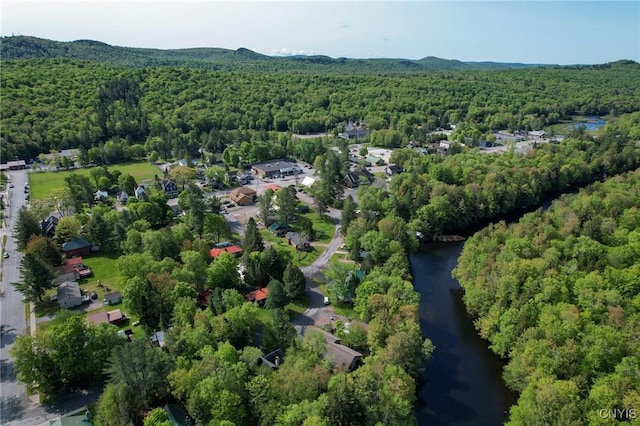 105 Garmon Ave, Webb, NY 13420 - aerial overview of property's location with a forest and a nearby body of water