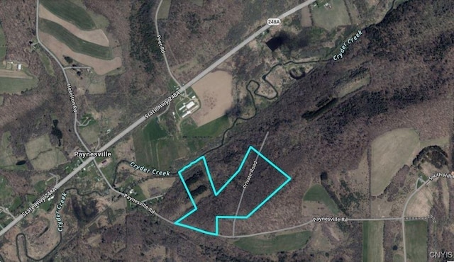 Paynesville Hill Rd, Independence, NY 14897 - photo 44
