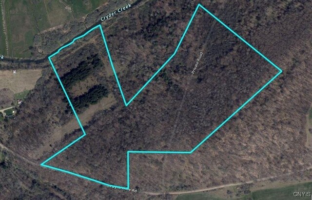 Paynesville Hill Rd, Independence, NY 14897 - photo 5