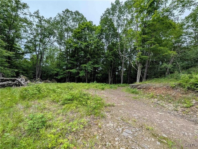 Paynesville Hill Rd, Independence, NY 14897 - photo 18