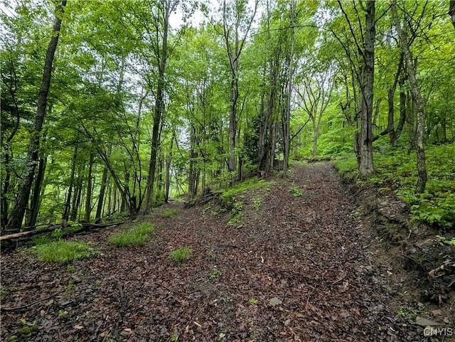 Paynesville Hill Rd, Independence, NY 14897 - photo 22