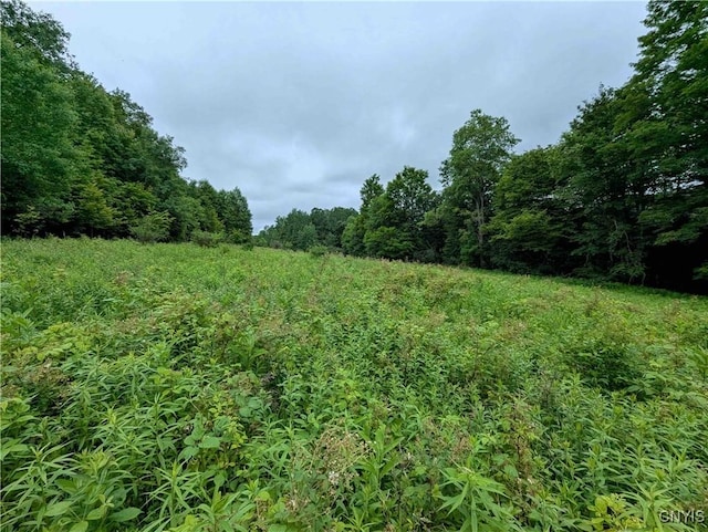 Paynesville Hill Rd, Independence, NY 14897 - photo 32