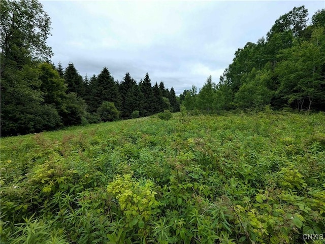 Paynesville Hill Rd, Independence, NY 14897 - photo 33
