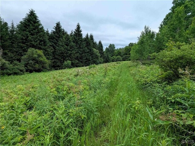 Paynesville Hill Rd, Independence, NY 14897 - photo 34