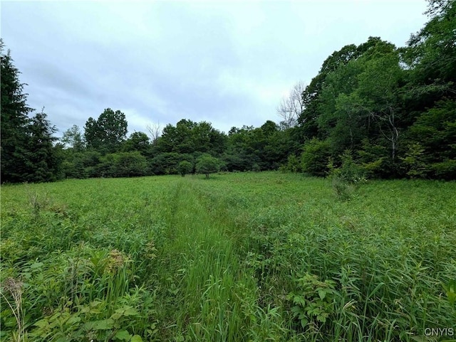 Paynesville Hill Rd, Independence, NY 14897 - photo 35