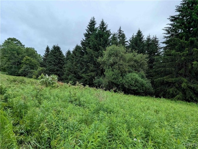 Paynesville Hill Rd, Independence, NY 14897 - photo 37