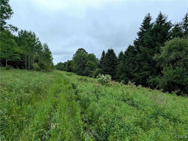Paynesville Hill Rd, Independence, NY 14897 - photo 38