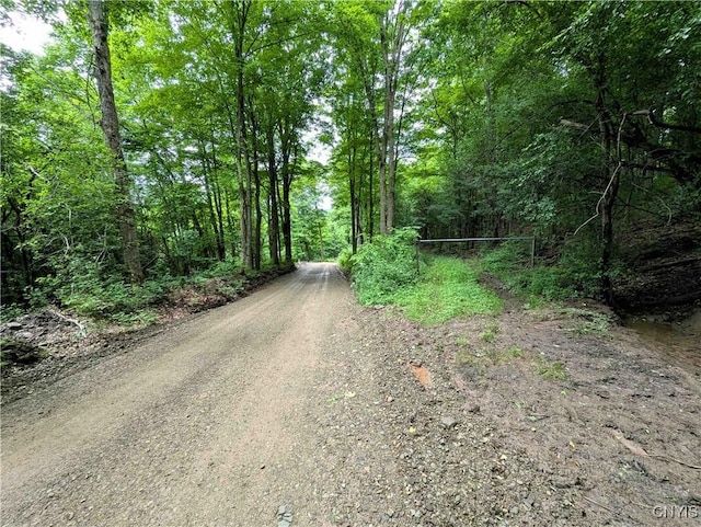 Paynesville Hill Rd, Independence, NY 14897 - photo 39
