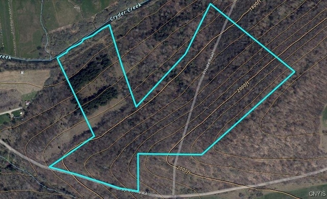 Paynesville Hill Rd, Independence, NY 14897 - photo 42