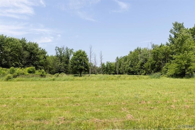 3212 Hickox Rd, Hamburg, NY 14075 - view of nature featuring rural landscape