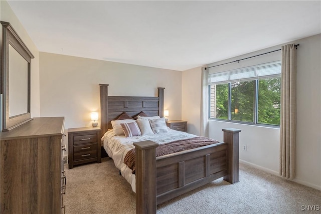 8433 Bubbling Springs Dr, Clay, NY 13027 - bedroom featuring light carpet