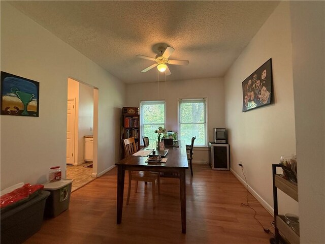 453 Averill Ave, Rochester, NY 14607 - photo 5