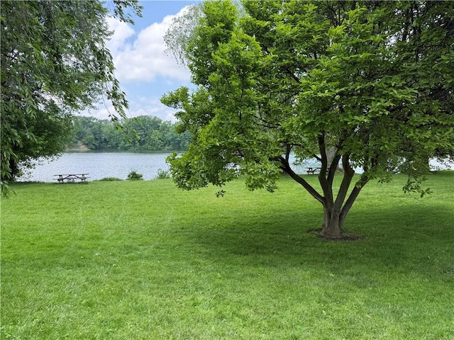 19 Seneca St, Seneca Falls, NY 13148 - photo 23