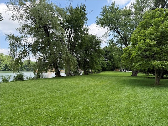 19 Seneca St, Seneca Falls, NY 13148 - photo 25