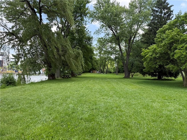 19 Seneca St, Seneca Falls, NY 13148 - photo 27
