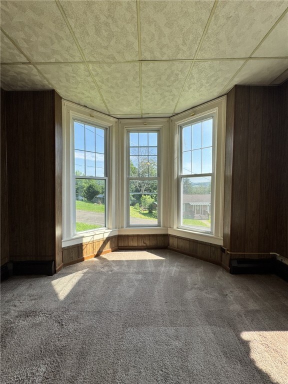 2 2nd St, Eldred, PA 16731 - carpeted spare room featuring wooden walls and a drop ceiling