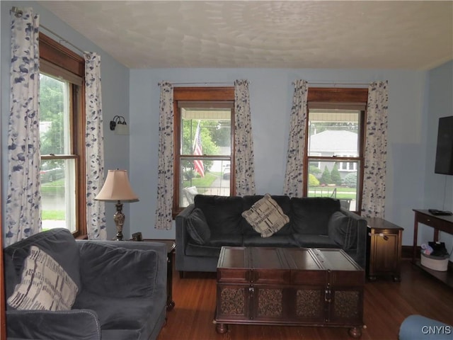 325 Margaret St, Herkimer, NY 13350 - living room with wood finished floors and healthy amount of natural light
