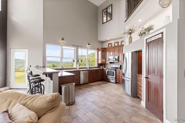 3785 Ransom Rd, Pompey, NY 13078 - kitchen featuring stainless steel appliances, a peninsula, a high ceiling, glass insert cabinets, and brown cabinets
