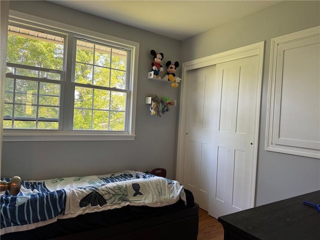 6303 Palmiter Rd, Alfred, NY 14803 - bedroom featuring multiple windows, a closet, and wood finished floors