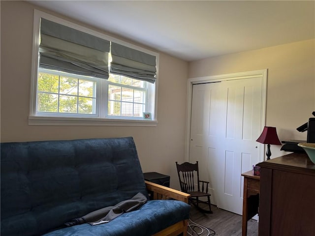 6303 Palmiter Rd, Alfred, NY 14803 - sitting room with wood finished floors