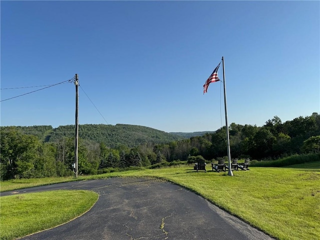 6303 Palmiter Rd, Alfred, NY 14803 - view of street with a forest view