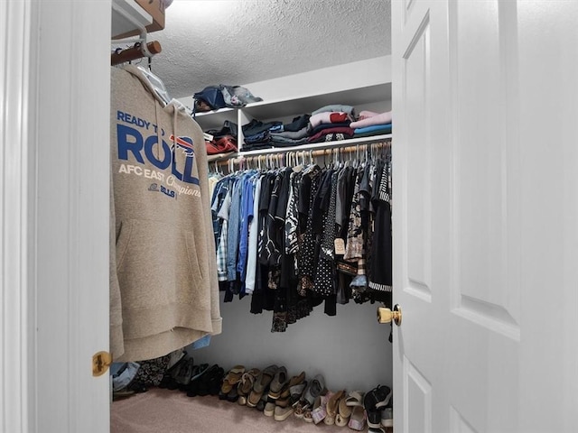 27 Black Spruce Ct, Greece, NY 14616 - walk in closet with carpet