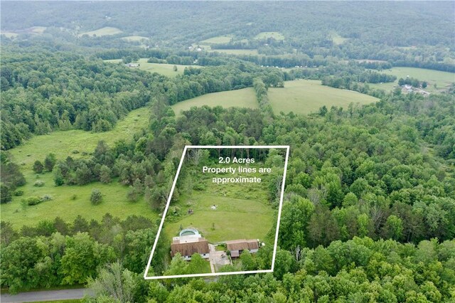 578 Patent Line Rd, Sidney, NY 13775 - photo 2