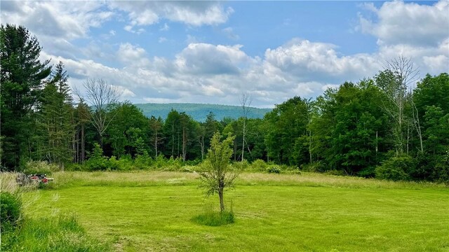 578 Patent Line Rd, Sidney, NY 13775 - photo 43