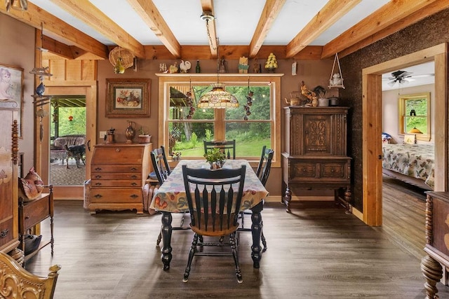 485 Spring Valley Rd, Delhi, NY 13753 - dining area featuring beam ceiling, plenty of natural light, dark wood-style flooring, and a ceiling fan